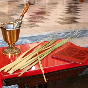 IMG 0096 2 1