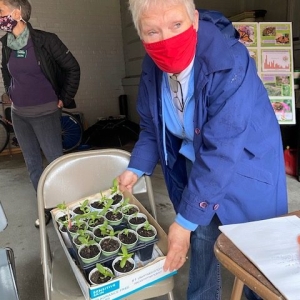 Starter Plant Giveaway April 24, 2021