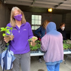 Starter Plant Giveaway April 24, 2021