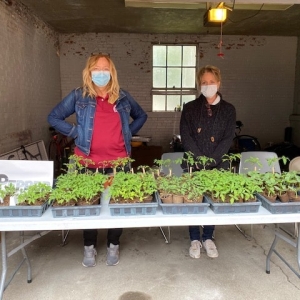 Starter Plant Giveaway April 24, 2021