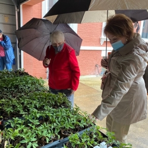 Starter Plant Giveaway April 24, 2021