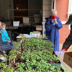 Starter Plant Giveaway April 24, 2021