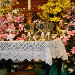First Communion at All Saints Parish &ndash; May 29, 2022
