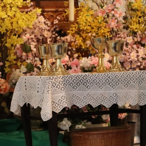 First Communion at All Saints Parish &ndash; May 29, 2022