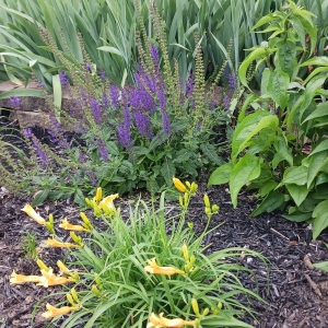 St. Joseph Church in Bloom